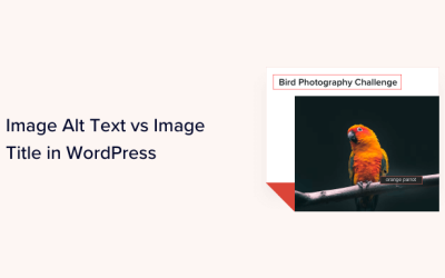 Bild Alt Text vs Bildtitel i WordPress